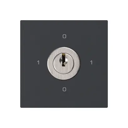 Intérieur interrupteur à clé kallysto 0/2L noir avec serrure Kaba 8 