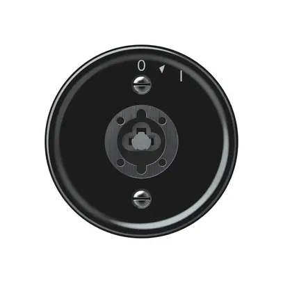 Pulsante rotativo origin senza cilindro 1P 0<1 10A 230V 60×60mm nero 