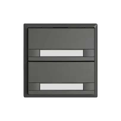 Pulsante KNX RGB EDIZIO.liv SNAPFIX® sensore temp.s.LED targ.2× com.2T grs 