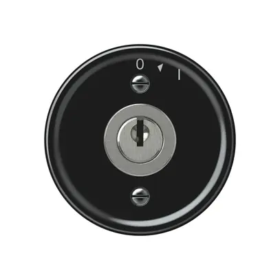 Pulsante rotativo origin con cilindro 1P 0<1 10A 230V 60×60mm nero 