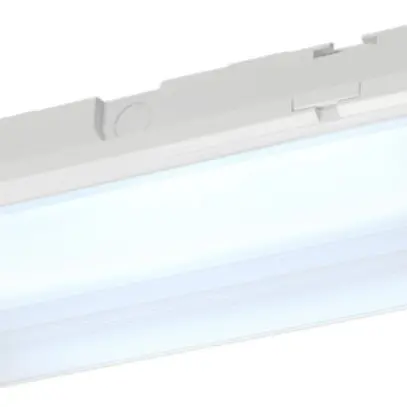 Lampada emergenza LED P-LIGHT, 6.5W 100lm 6000K IP65 bianco 