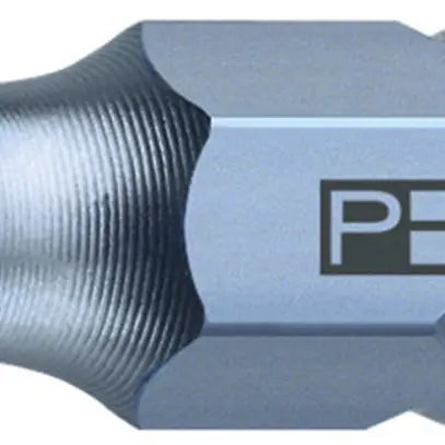 Bit Torx-Schrauben-Set PB C6-400 3×T10×25mm C 6.3 (1/4") 