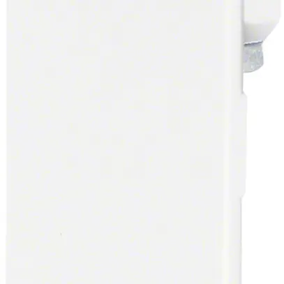 Paistra terminale tehalit BRS 100210D, bianco traffico 