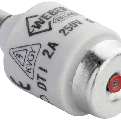 Fusibile D Hager DTI 2A 250V ritardato protezione completa 