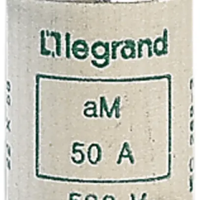 Fusible de protection d'appareils Legrand 22×58mm 100A Am 