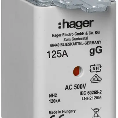 Fusible HPC Hager DIN2c 500VAC 125A gG/gL avertisseur double antirouille 