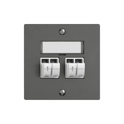Prise audio EDIZIO.liv SNAPFIX® 2× grf 