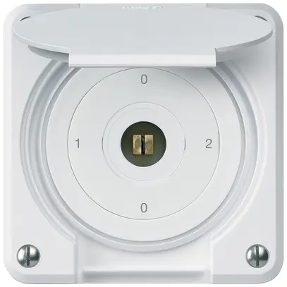 Interruttore a chiave quadrata INC robusto IP55 con coperchio S2/1P bianco 
