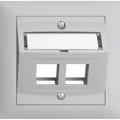 Kit montaggio INS Edue FKE c.cappa d.uscita obliqua p.2×Keystone grigio chiaro 