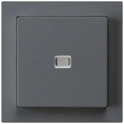 Interrupteur poussoir lumineux ENC kallysto 3/2P anthracite 