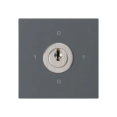 Inserto interruttore a chiave kallysto 0/1L antracite con serratura Kaba 8 