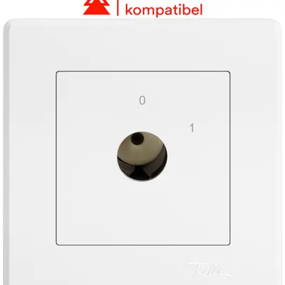 Interrupteur à clé ENC EDIZIO.liv pour KABA 1514 invers.2P 0-1 p=77mm bc 