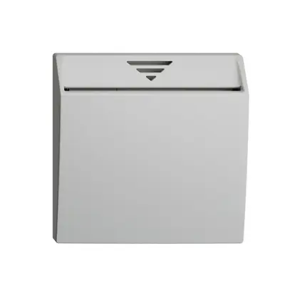 Einsatz zu Schalter Hotelcard 250VAC 1L EDIZIOdue hellgrau 