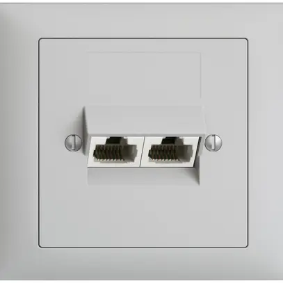 EB-Dose 2×RJ45/u 8P getr. EDIZIOdue hellgrau ITplus 