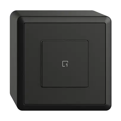 Poussoir scène AP 1 scène/1T WLAN Edue Wiser noir 