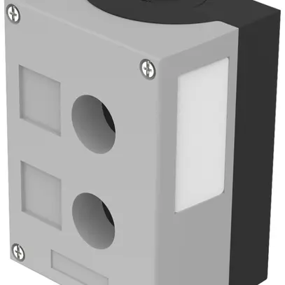 Boîtier p.montage en saillie EAO 45, 2×Ø 22.3 mm, support p.étiquette, M20, gris 