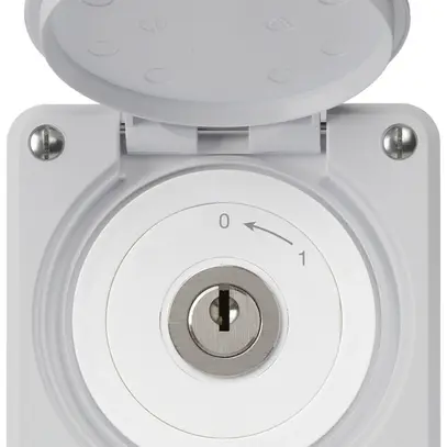 Contact pivotant à clé ENC robusto IP55 gris avec clapet 1P 