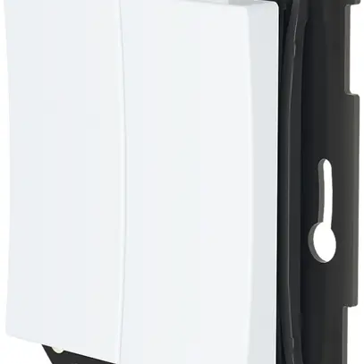 Poussoir RF AP/ENC Plejd WPH-01-55W double Bluetooth pour cadre 55mm bc 