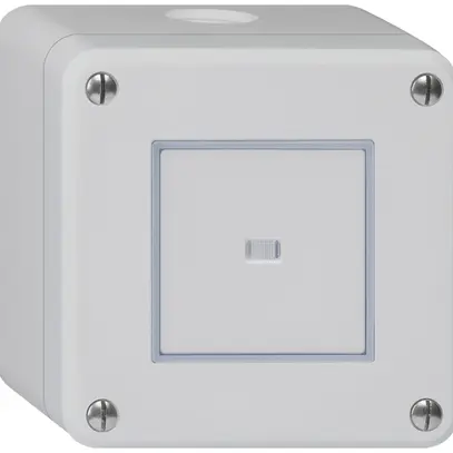 Contatto pulsante AP robusto IP55 2P grigio illuminato 