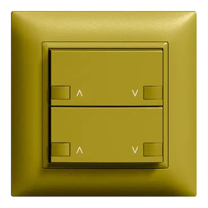 Kit frontal ENC moteur 2c/2touch ZEP 88×88mm olive 