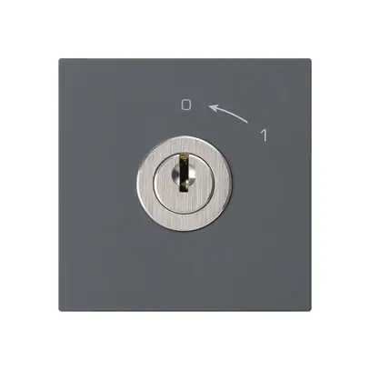 Schwenktaster 0<-1/1L anthrazit kallysto mit Schloss Kaba 8 