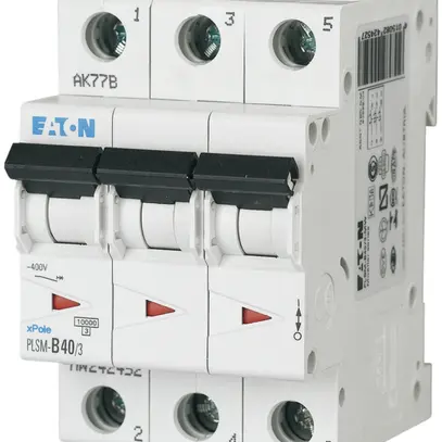 Disgiuntore PLSM-C40 3L 