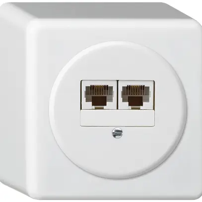 Boîte de raccordement AP basico 2×RJ45u blanc parallèle 