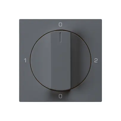 Intérieur pour interrupteur rotatif kallysto 2/1L anthracite avec manette 