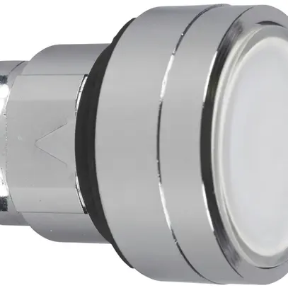 Testa motrice Schneider Electric pulsante tasto bianco 