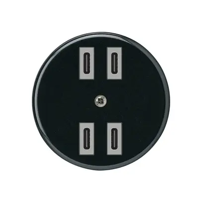 Prise de charge USB Hager basico 2×C-C 2×20W ou 4×10W 5V noir 