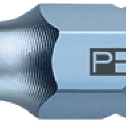 Inserto per vite Torx PB C6 B-400 T20×25mm 6.3 (1/4") con foro 