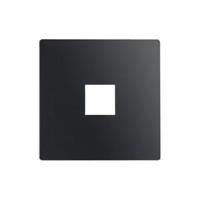 Plaque frontale EDIZIOdue elegance pour poussoir simple gris graphite 