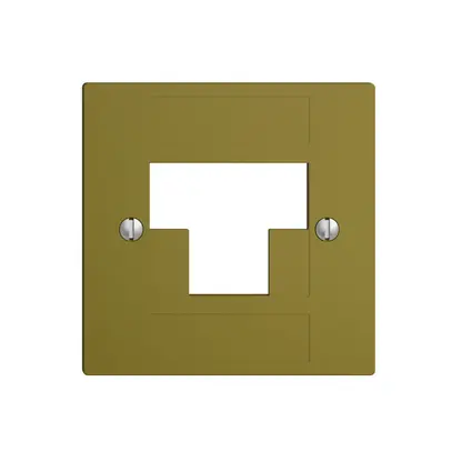 Plaque frontale 2×RJ45 ITplus EDIZIOdue olive 