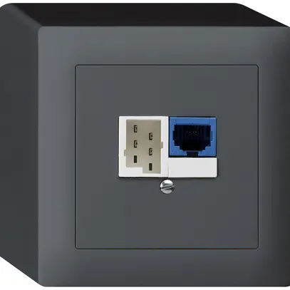 Boîte DSL AP 1×RJ45/1×T+T anthracite 