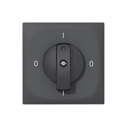 Interrupteur rotatif ENC SIDUS E 0/2L anthracite 