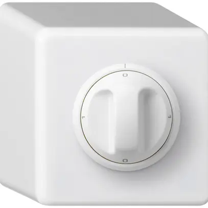 Interruttore rotativo AP basico 2/1L bianco con manopola 