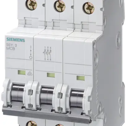 Disgiuntore Siemens SENTRON 5SY4 3L C-6A 10kA 3UM 