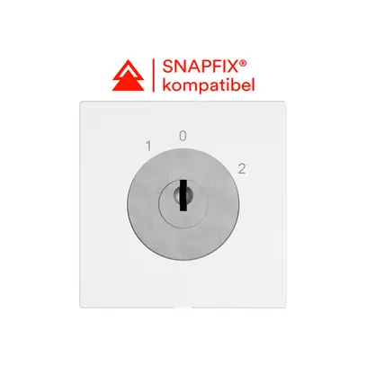 Interrupteur à clé EDIZIO.liv a.KABA 1007F/631984 a.1×retrait 2P 1-0-2 p=67mm bc 