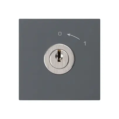 Schwenktaster 0<-1/2L anthrazit kallysto mit Schloss Kaba 8 