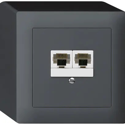 Scatola AP kallysto 2×RJ45u separato antracite 