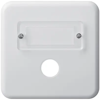 Placca di copertura INC basico I 1×suoneria bianco 