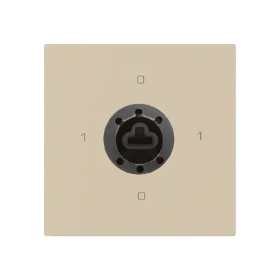 Einsatz zu Schlüsselschalter kallysto 0/2L beige f.Sicherheitsschloss o.Zylinder 