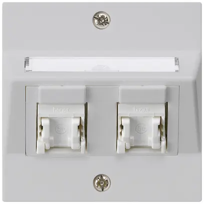 Prise ENC kallysto A cat.5e 2RJ45/u gris clair 