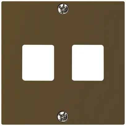 Plaque frontale HMS kallysto pour 2 modules brun 