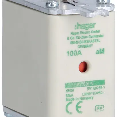 Fusibile HPC Hager DIN00 690VAC 100A aM segnalatore doppio inossidabile 