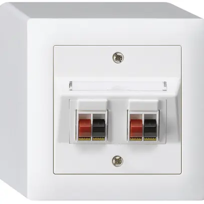 Prise AP audio kallysto 2×blanc borne à étrier pour 2 haut-parleurs 