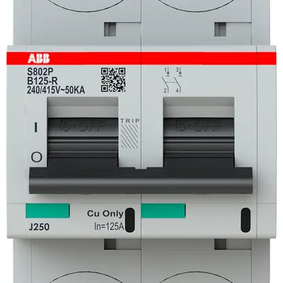 Disjoncteur ABB S802P-B125-R 2P 400V B-125A 50kA 3.5UM 
