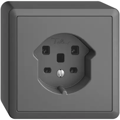 Presa AP EDIZIOdue T25 16A grigio scuro, morsetti a vite 
