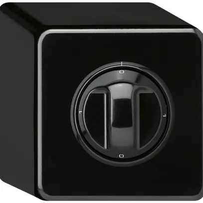 Interruttore rotativo AP basico 5/1L nero con manopola 