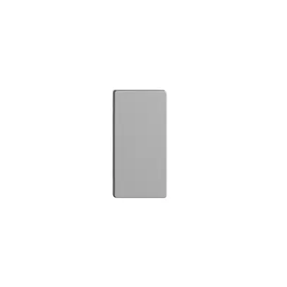 Pulsante 1/2 INC horiz. Edue Wiser senza simbolo silver 